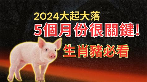 2024豬年運程1971|属猪1971年出生的人2024年全年运程运势